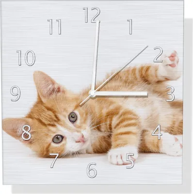 Produktbild von Wallario Design Wanduhr Süße Katze mit großen Augen - rot weiß getigert aus Aluverbund, Größe 30 x 30 cm