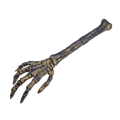 Productafbeelding van Bristol Novelty Skeletenhand-decoratie BN1259 (one size) (zwart/goud)