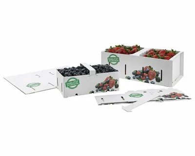 Produktbild von 25x Obstkörbe Beerenkörbe aus Pappe 350x159x118mm mit Neutraldruck für 2,0-2,5 KG