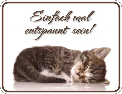 Image de Proverbes félins - Aimants - Soyez simplement détendus