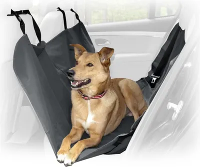 Image de Housse de siège de voiture pour chiens et chats Imperméable Taille universelle 146x146 cm