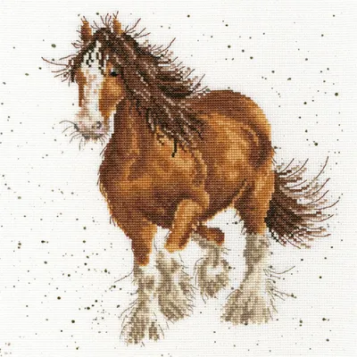 Obrázok produktu pre Bothy Threads Súprava na vyšívanie krížikom "Plumage", 26x26cm, xhd43, počítaný vzor