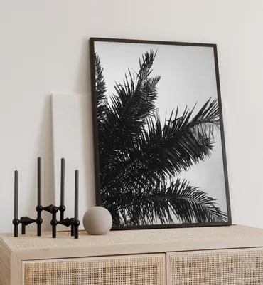 Produktbild von Poster Palmblätter, groesse_poster:70x100 cm, groesse_rahmen:schwarz 70x100 cm