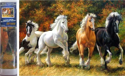 Image de Norimpex Peinture au diamant Chevaux au galop 30x40cm