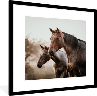 Produktbild von MuchoWow® Gerahmtes Poster Pferde - Natur - Braun 40x40 cm - Poster mit Schwarzem Bilderrahmen Wandposter Rahmen Foto Bilder - Poster - Plakat im Rahmen