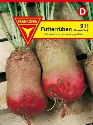 Produktbild von Futterrüben Eckdorot