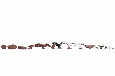 Obrázek produktu pro NOCH Birds, HO (1:87), Vícebarevný