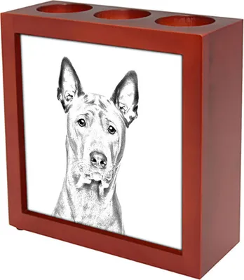 Image de Thai Ridgeback, Thailand-Ridgeback - Porte-crayons avec chien, organiseur de bureau imprimé, décoration de bureau personnalisée de la marque Art-Dog
