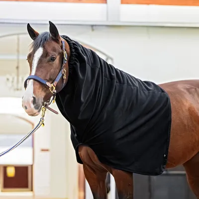 Produktbild von EQuest Fleece Halsteil für Pferdedecken, Schwarz - S/M