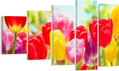 Produktbild von Bild auf Leinwand - Leinwandbild - Tulpe Blume Garten Plantage - 100x60cm - Wand Bild - Wanddeko - Leinwanddruck - Bilder - Kunstdruck - Wanddekoration - Leinwand bilder - Wandkunst - EG100x60-2466