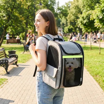 Produktbild von Hundebox erweiterbar, Transportbox Hund, Polyester, Hellgrau | 33,5x28x42 cm | bis 10 kg | 5 Taschen & Reflexstreifen