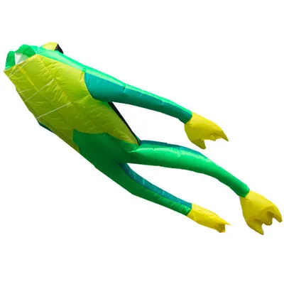 Produktbild von Einleiner Drachen Wolkensturmer Fritz the Frog XL 160635 Grün 480 x 150 cm