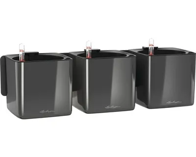 Obrázok produktu pre LECHUZA Green Wall Home Kit Glossy, Kvetináč, Nástenný, Polypropylén (PP), Čierna, Štvorec, Vnútorný
