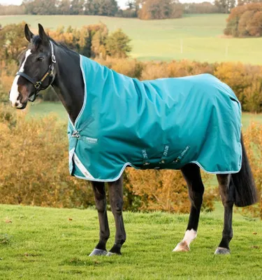 Produktbild von Horseware Amigo Bravo 12 Wug Turnout 250g Medium Storm Green / Aqua & Turquoise , Horseware Deckengröße:155 cm / 6´9