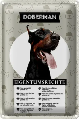 Produktbild von Blechschild 20x30cm Doberman Eigentumsrechte