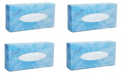 4 Packungen Kosmetiktuecher Fluff - 4x 100 Blatt A99908PC2VCRT