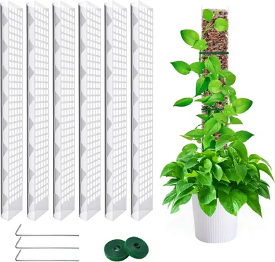 Produktbild von Klimstütze Moosstab 61 cm, verstellbar, transparent, für Zimmerpflanzen