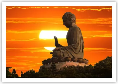 Produktbild von Poster - Poster ohne Rahmen - tempel buddha - 100x70 cm - Wand Bild - Wanddeko - Wandbilder - Kunstposter - Wandposter - Bilder - Kunstdruck - Wanddekoration - Wandbild - P2XAA100x70-3532