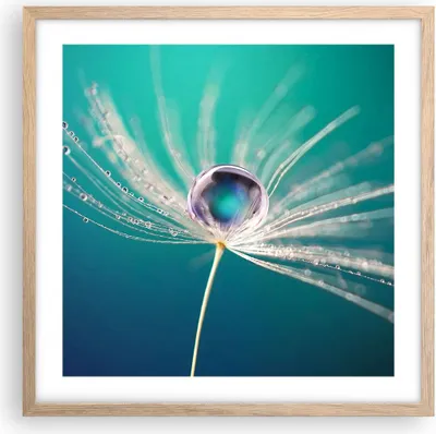 Produktbild von Gerahmtes Poster - Rahmen in heller Eiche - Pflanze Natur - 50x50 cm - Wand Bild - Wanddeko - Wandbilder - Kunstposter - Wandposter - Bilderrahmen - Bilder - Kunstdruck - Wandbild - P2NAC50x50-3991