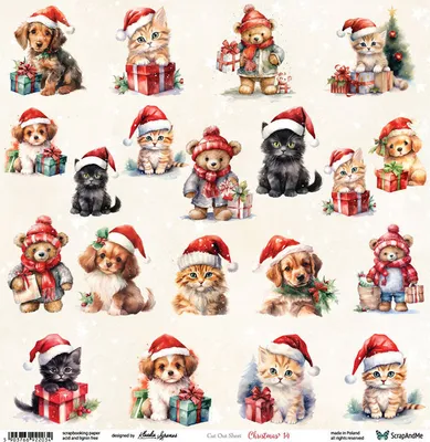 Image de SCRAPandME 30x30cm recto papier scrapbooking 250g, Christmas 14