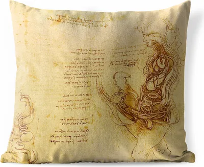 Produktbild von MuchoWow® Outdoor Kissen - Die menschliche Fortpflanzung - Leonardo da Vinci - 50x50 cm - Wetterfest - Lounge Kissen - Komfortabel - Kissen mit Bild