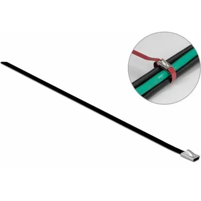 Produktbild von DeLOCK 18811, Stahl, Schwarz, 400 mm, 4,6 mm, 10 Stück(e)