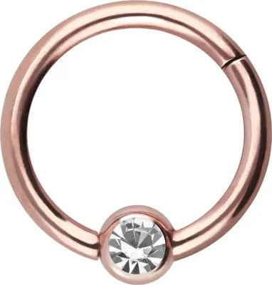 Produktbild von Ohrpiercing, Nasenpiercing, Septum Piercing Titan Segmentring Clicker KRISTALL RoséGold Innendurchmesser: 10mm + Stabstärke: 1,6mm
