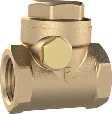 Produktbild von Riegler Rückschlagklappe, DN 50, MS, weichdichtend, G 2, PN max. 10 bar