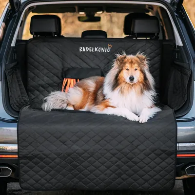 Image de Protection pour coffre de voiture pour chiens - tapis de coffre imperméable avec velcro et sac de rangement