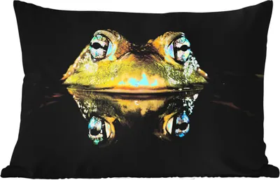 Produktbild von MuchoWow® Outdoor Kissen - Frosch - Augen - Porträt - 60x40 cm - Wetterfest - Lounge Kissen - Zierkissen - Kissen für Innenräume