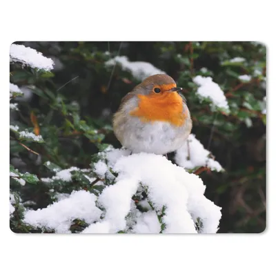 Produktbild von MuchoWow® Mauspad Mousepad Rotkehlchen - Baum - Schnee 23x19 cm - Mousepads - Maus Mat - Pad - Mausunterlage - Schreibtischunterlage - Mauspad