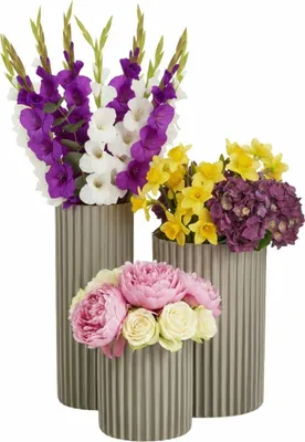 Produktbild von HowHomely | Blumenvase - Pflanzenvase - 3er Set - beige - aus Kunststoff - Vase - Dekovase