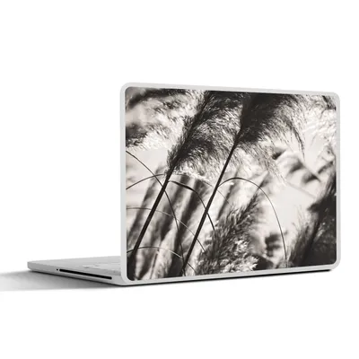 Produktbild von MuchoWow® Laptop Aufkleber Sticker Cover Pampasgras - Schwarz - Weiß - Pflanze 31x22.5 cm - Laptop-Deko