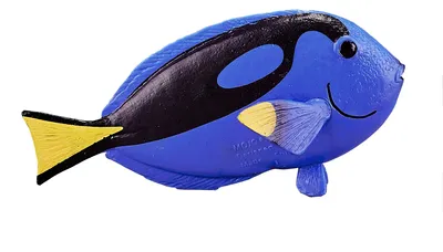 Immagine prodotto di Pesce chirurgo pallet Animal Planet