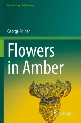 Image de Flowers in Amber