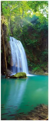 Produktbild von Wallario Memoboard Magnettafel aus Glas, Größe 32 x 80 cm, Motiv Wasserfall im Wald am See  Idylle in Thailand