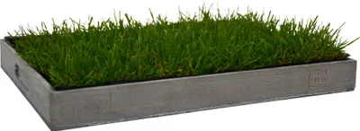 Produktbild von UNUS® Katzengras inklusive Holztablett 40x30cm Grau fertig gewachsen echtes Gras