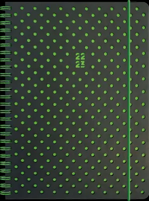 Zdjęcie produktu dla BRUNNEN 1072145163 SchülerkalA5PU Grey&Green 2S/1W