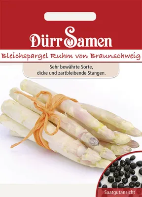 Produktbild von Dürr-Samen - Bleichspargel Ruhm von Braunschweig - Saatgut - 0194