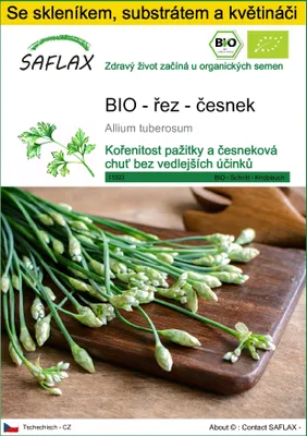Obrázek produktu pro SAFLAX Kultivační sada - BIO - řez - česnek - Allium tuberosum - 100 Semena - S mini skleníkem, pěstebním substrátem a 2 květináči