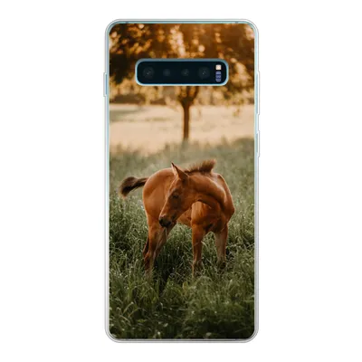 Produktbild von MuchoWow® Handyhülle Schutzhülle Hülle für Samsung Galaxy S10 Plus Pferd - Gras - Baum Silikon Softcase Handy Hülle - Schutzhülle
