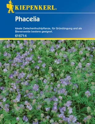Artikelbild 1 von 'Phacelia (50 g)' aus der Kategorie Phaceliasamen