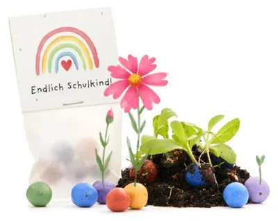 Produktbild von Die Stadtgärtner 5er Blumenmurmeln Einschulung Endlich Schulkind