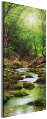 Produktbild von Wallario Premium Leinwandbild Fluss im Wald in Größe 30 x 75 cm