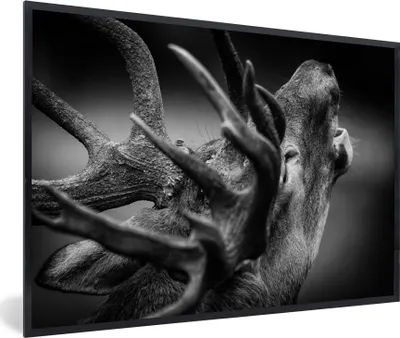 Produktbild von MuchoWow® MuchoWow® Gerahmtes Poster Geweih - Hirsch - Schwarz 90x60 cm - Poster mit zchwarzem Bilderrahmen - Fotorahmen - Foto-Plakat