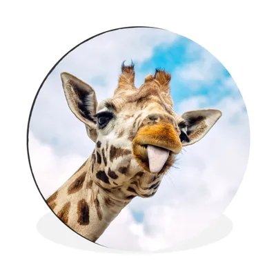 Produktbild von MuchoWow® Aluminium Wandkreis Giraffe - Lustig - Zunge - Kinder - Jungen - Mädchen - Kind Ø 90 cm Wanddeko Modern Wohnzimmer - Mauerkreis - Wandbilder - Runde Bild - Bild aus Aluminium - Schlafzimmer - Wohnzimmerdekoration - Wand Dekoration
