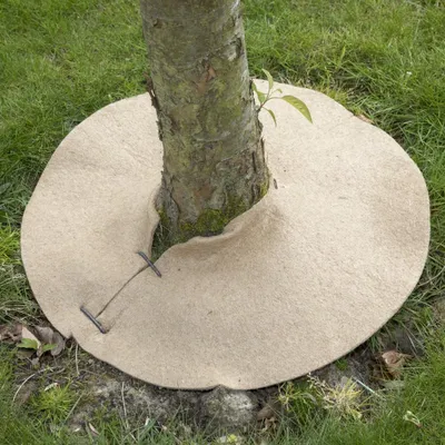 Image de Disques de paillage, 700 g/m², 0.4 m