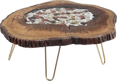 Image de Table basse moderne en bois marron pour le salon