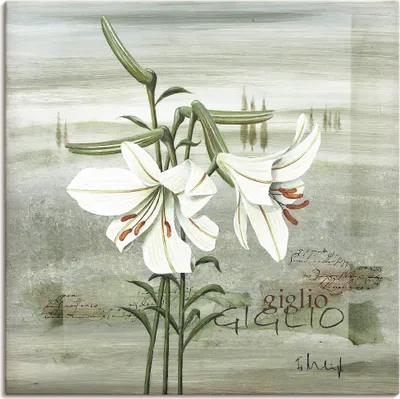 Produktbild von ARTland Leinwandbild Lilie Größe: 30x30 cm