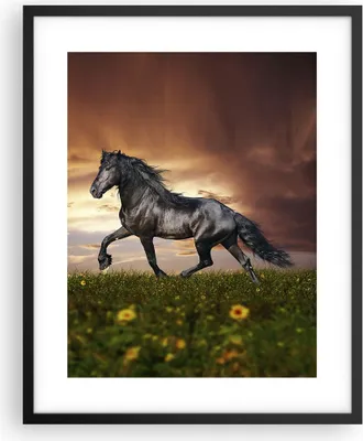 Produktbild von Gerahmtes Poster - Schwarzer Rahmen - Pferd Tier Wiese - 40x50 cm - Wand Bild - Wanddeko - Wandbilder - Kunstposter - Wandposter - Bilderrahmen - Bilder - Kunstdruck - Wandbild - P2BPA40x50-2608